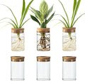 Snminetal Glass Plant Propagation Station Set of 6, Modern Desktop Flower Vase for Succulent Cuttings, Home Office Decoration, Ideal Housewarming Gift for Living Room, Bedroom