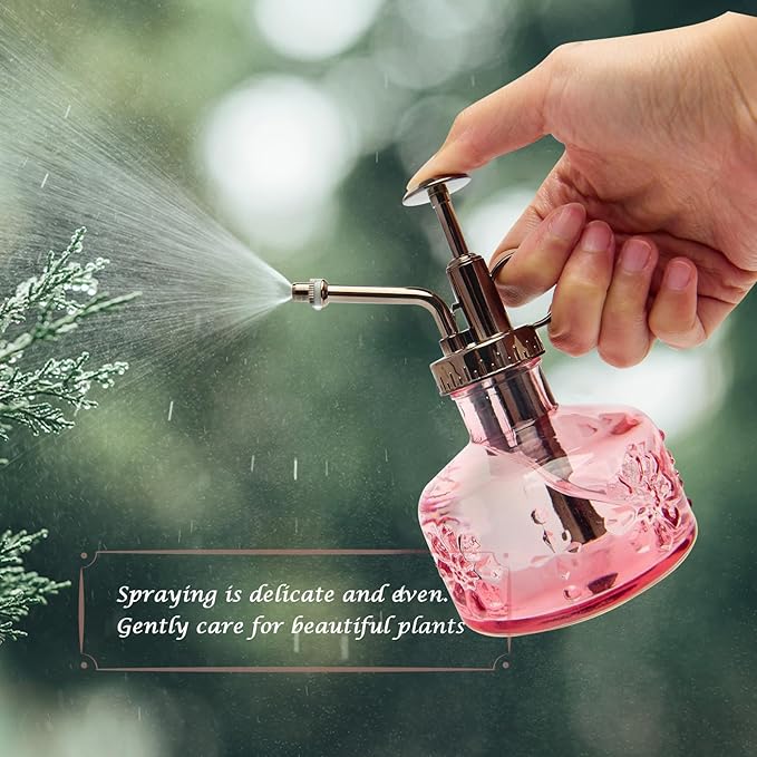 XXXFLOWER Glass Plant Mister Spray Bottle+ Plant Terrarium Propagation Stations