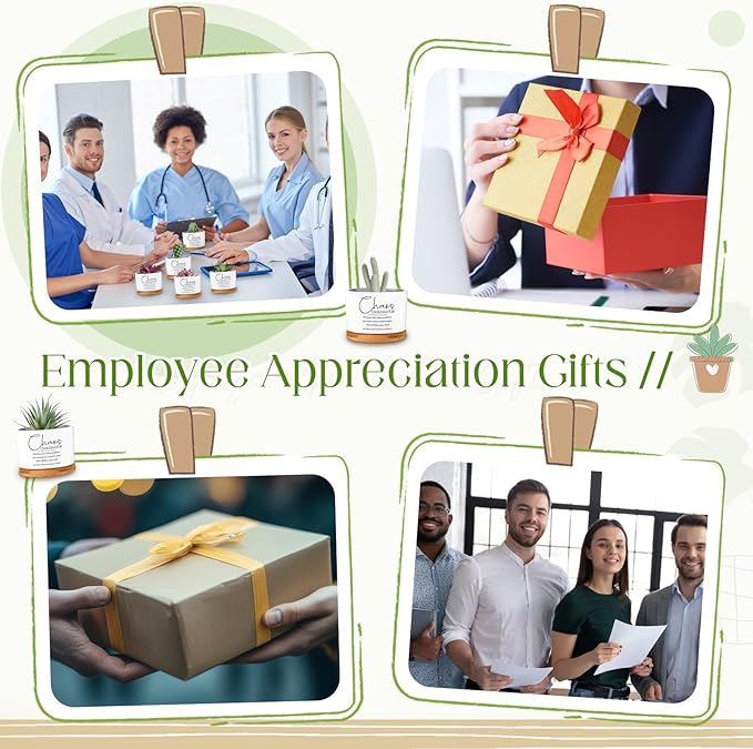 12 Pcs Chaos Coordinator Gifts Succulent Pots Employee Appreciation Gifts Bulk for Women Coworker Teacher Small Ceramic Plant Pots with Bamboo Trays for Office Staff Nurse