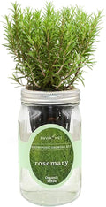 Hydroponic Herb Growing Kit, Self-Watering Mason Jar Herb Garden Starter Kit Indoor, Windowsill Herbs Garden, Grow Your Own Herbs from Organic Seeds (Rosemary)