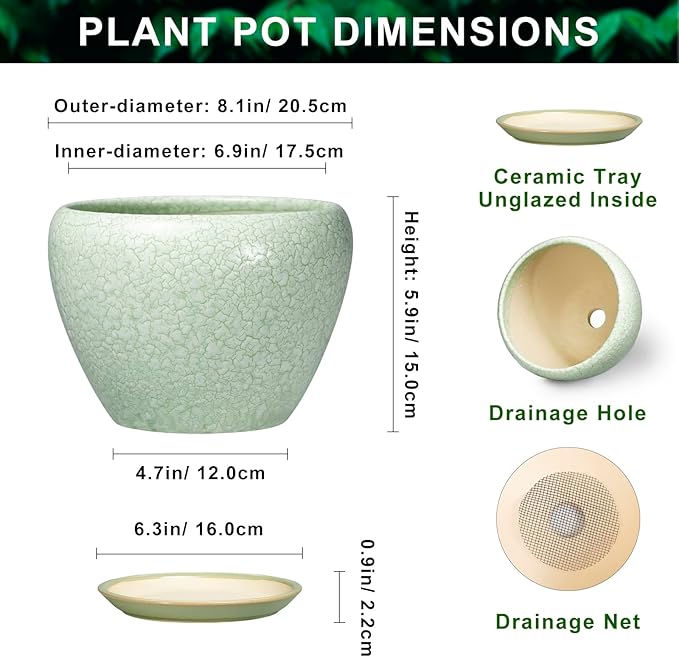 Ceramic Planter - 8 Inch Plant Pot with Drainage Hole and Saucer, Indoor Planters for Indoor Outdoor Plants, Decorative Flower Pots, Office Decor, Plant Lover Gifts, Crackle Light Green