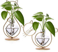 Plant Terrarium Plants Propagation Station Cat Lover Gifts for Women Home Office Decor Cat Desk Accessories