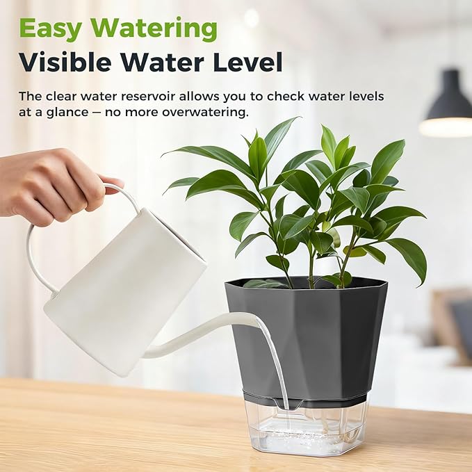 4 Pack Self Watering Pots for Indoor Plants, 10 Inches Self Watering Planters African Violet Pots Clear Pots for Herb Orchid Flower Houseplant, Dark Grey