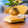 Magnetic Levitating Plant Pot Hexagon Floating Flower Pot Small Bonsai Planter for Succulent Nordic Style Home and Office Decoration