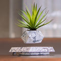 Magnetic Levitation Flower Pot - Rotating Floating Planter for Small Plants, Ideal Decoration for Office Desk and Home