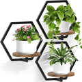 3 Packs Wall Planters for Indoor Plants, 7.9inch Metal Plant Holder Hanger Wall Decor, Mounted Hanging Window Shelves Outdoor Rack (Black Wooden Base)