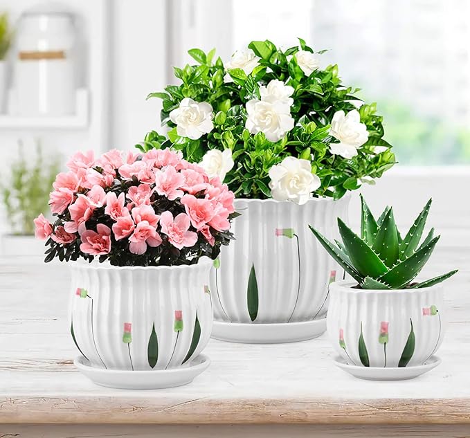 Foraineam Set of 3 Ceramic Plant Pots Small to Large Sized Garden Flower Planter Pot Round Modern Succulent Cactus Containers with Drainage and Saucer