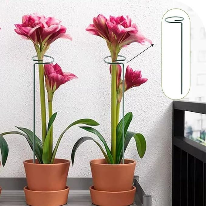 6 Pack Plant Support Stakes, 18 Inch Tall Metal Plant Stakes, Garden Plant Support Stake for Outdoor Indoor Plants, Flower Stake for Lilies, Dahlias, Sunflowers, Tomato, Amaryllis, Peony, Orchid
