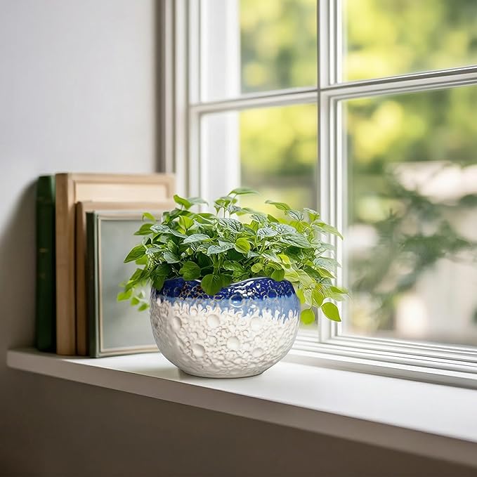Ceramic Plant Pots - 6 Inch Orchid Pot for Indoor Outdoor Plants, Unique Pots for Plants with Drainage Hole and Plug, Modern Round Planter, Garden House Decor, Housewarming Gifts, Beige-blue