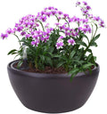 Vencer 11 Inch Plastic Round Self Watering Planter,Water Indicator,Modern Decorative Planter Pot for All House Plants Flowers, Herbs, Vegetables, Tropical,Coffee,VF-048BL