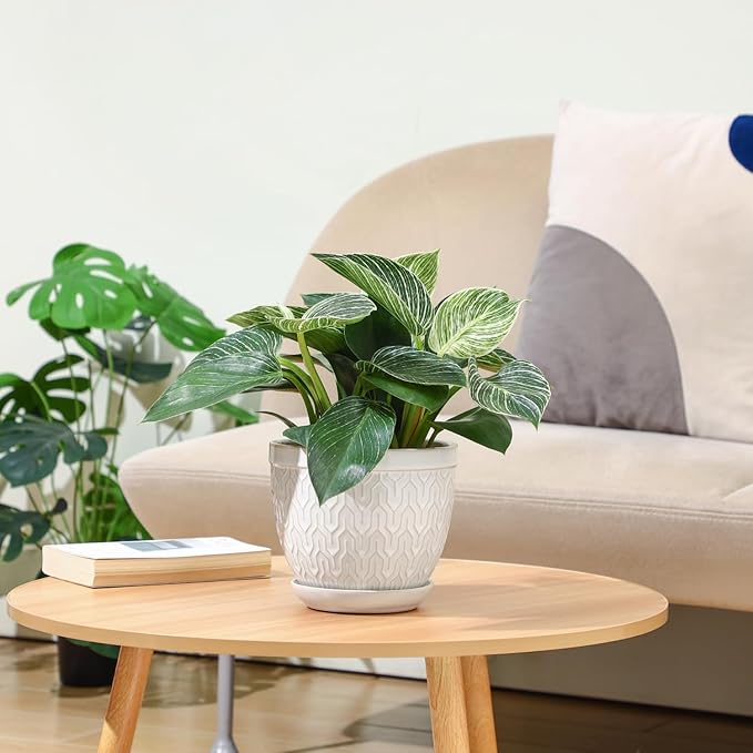 Sureasy 6.5 Inch Ceramic Plant Pots, Embossed Decorative Planters with Drainage Hole and Saucer, Modern Flower Pots for Indoor Plants, Set of 2, Glazed White