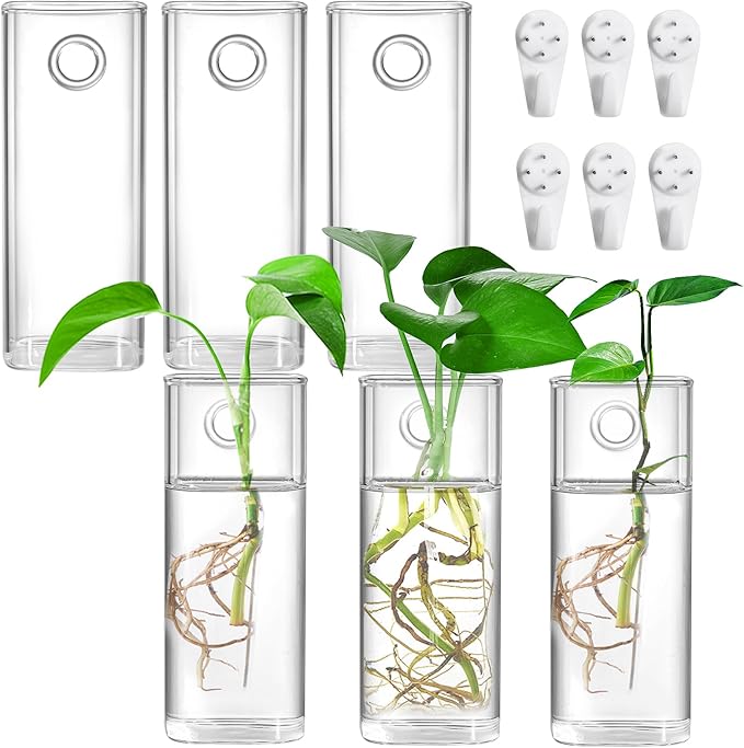 Fasmov 6 Pack Wall Hanging Glass Planters, Terrarium Holders for Air Plants, Succulents, Flowers - Square, Clear Vase Containers for Plant Display and Decoration