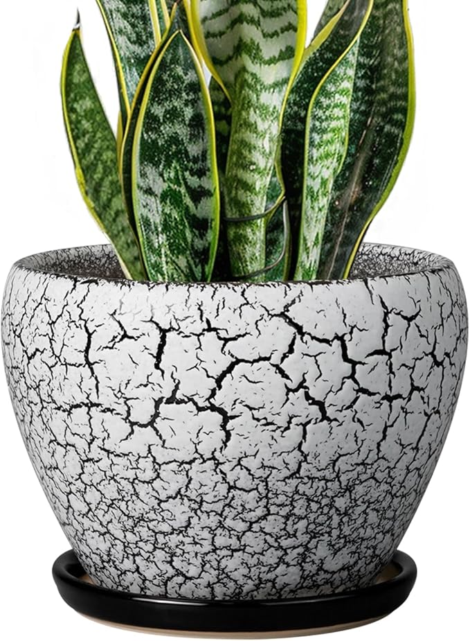 Ceramicfor Ceramic Plant Pot 8 Inch - Ceramic Planter for Indoor Plants, Round Flower Pot with Drainage Hole and Saucer, Glaze White and Black