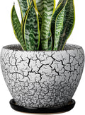 Ceramicfor Ceramic Plant Pot 8 Inch - Ceramic Planter for Indoor Plants, Round Flower Pot with Drainage Hole and Saucer, Glaze White and Black
