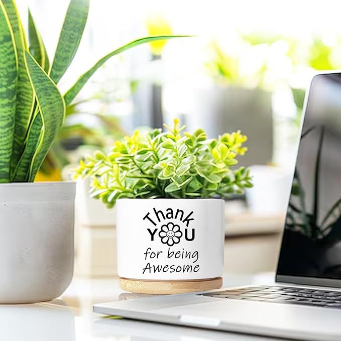 Thank You Gifts for Women, Succulent Planter, Flower Cactus Plant Pot, Employee Appreciation Gifts for Coworkers Nurse Friends Women, Thank You for Being Awesome (No Plants)