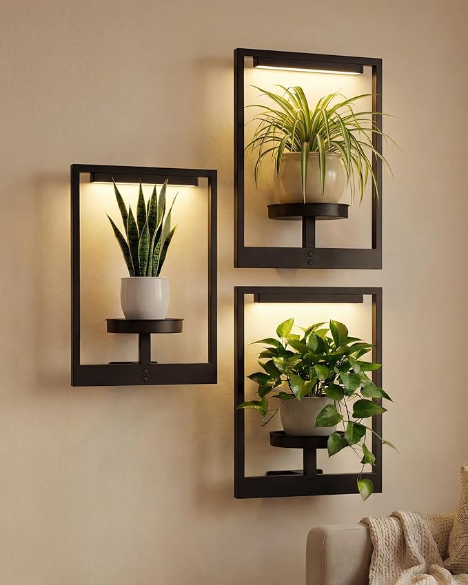 Bamworld Hanging Planters for Indoor Plants Wall Decor Outdoor Living Room Plant Stand Indoor Wall Planters Plant Hanger Window Plant Shelves 3-Packs with Magnetic Lights