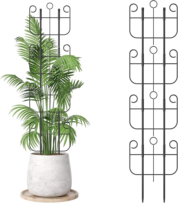 4 Pack Trellis for Climbing Plants Indoor, Expandable Heavy-Duty Metal Trellis for Potted Plants Outdoor, Flowers Vine Ivy, Sturdy Houseplant Pothos Plant Climber Support