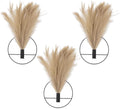 3 Pcs Wall Plants Artificial Decor,Boho Wall Decor,Home Office Living Room Wall Decor