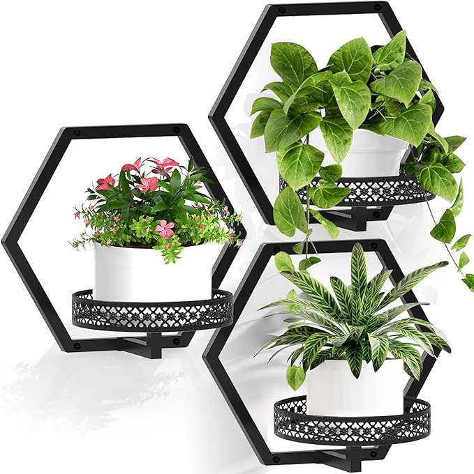 3 Packs Wall Planters for Indoor Plants, 7.9inch Metal Wall Plant Holder Hanger Wall Decor, Wall-Mounted Hanging Planters Window Plant Shelves Outdoor (Black Openwork)