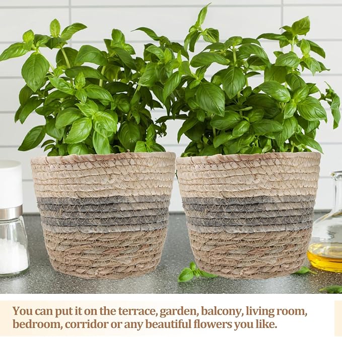 Healeved 2PCS Seagrass Plant Basket with Liner for Indoor Plants Rattan Pots 6inch Weaving Straw Planter Baskets Wicker Small Rustic Decorative Flower Pots for Desktop