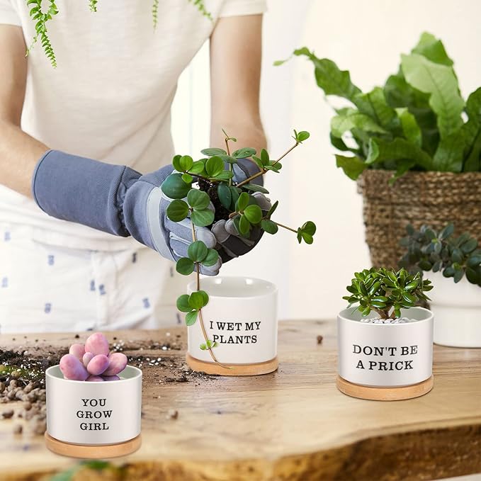 Potchen 6 Pcs Funny Succulent Pots Set Best Teacher Gifts Cute Ceramic Succulent Planters with Bamboo Tray Employee Appreciation Gifts for Women, Nurses, Birthday