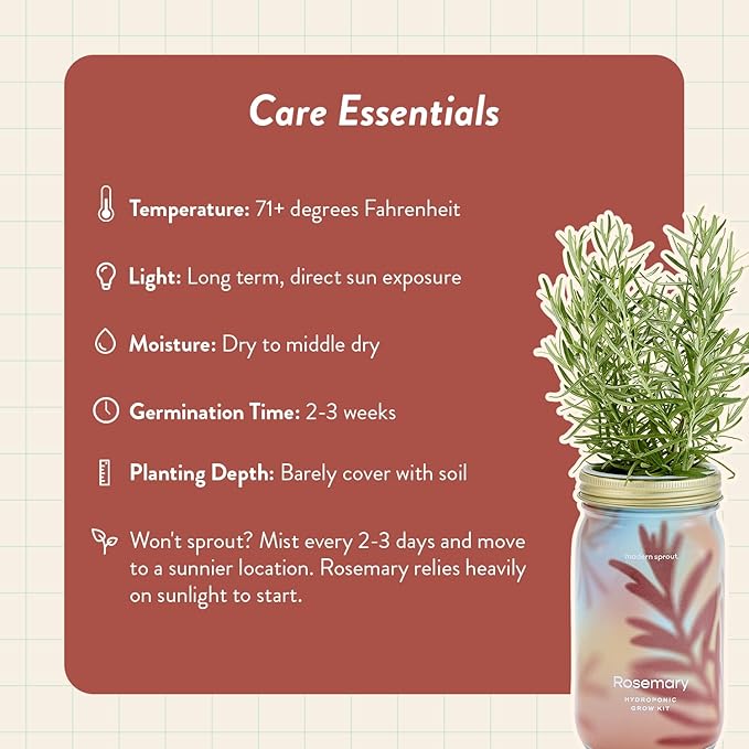 Modern Sprout Mason Garden Jar - Self-Watering Hydroponics Growing System Kit with Organic Herb Seeds - Jar Planter for Indoor Herb Garden - Seed Starter Kit - Home Decor & Gifting - Rosemary