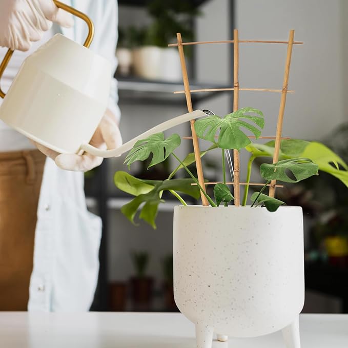 Cambaverd Plant Trellis Indoor 6 Pack Bamboo Trellis with Twist Ties, 16in Fan-Shaped Plant Trellises for Potted Plants Hoya Vines Monstera Houseplants