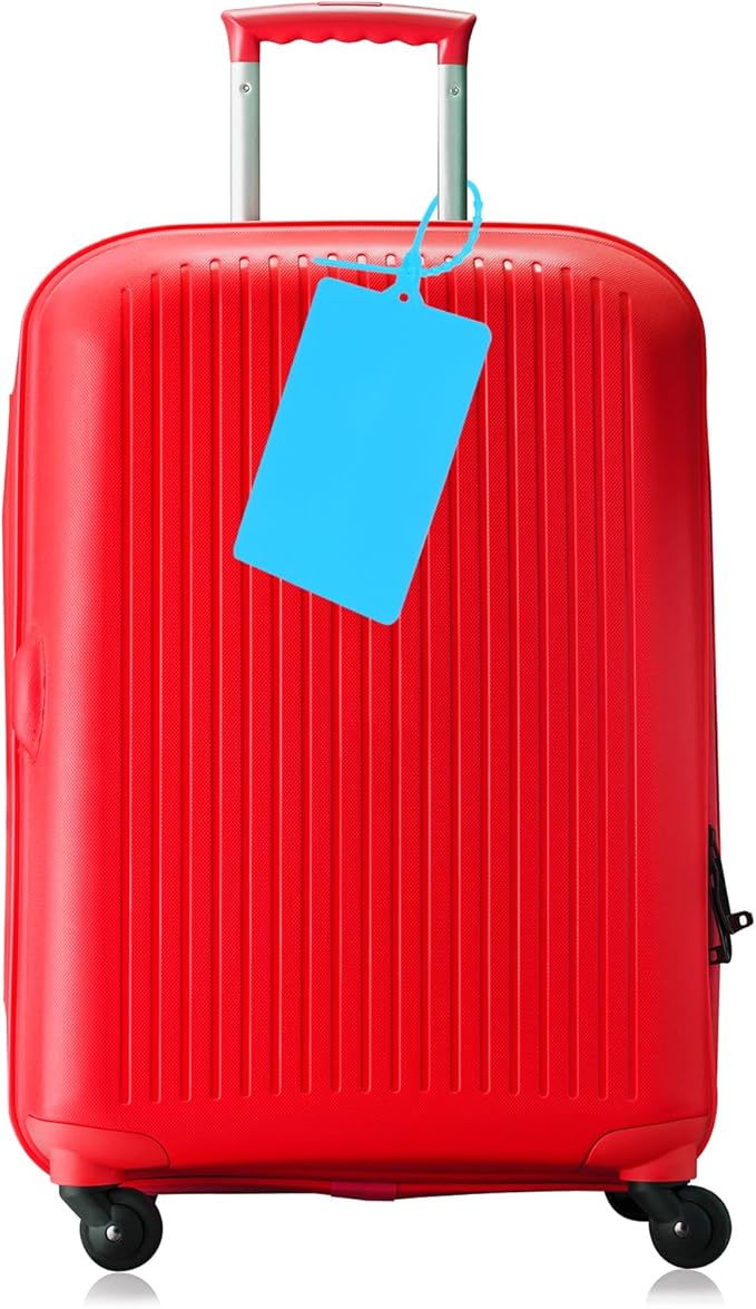 MECCANIXITY Plastic Seals Shipping Tags, for Basket Labels Cable Labels Tags Product Identification Tags, Logistics Marking, Outdoor Tagging, 3.1x3.9 Inch Blue 100Packs