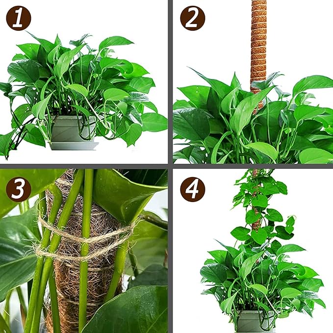 2 Pack 29'' Bendable Moss Pole Monstera Plant Support for Climbing Indoor Plants - Stakes for Potted Climbers (2)