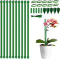 10PCS Plant Stakes for Indoor Plants 15.7in Plant Support Stakes & Moss Pole Kit Orchid Stakes and Clips Monstera Stakes, Tall Plant Sticks, and Fixing Pins