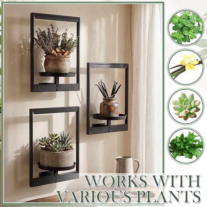 3 Pack Wall Plant Holders with Remote Grow Lights, Indoor Plants Holders, Plants Shelves Hanging Planters, Wall Mounted Framed Plant Holder for Indoor Living Room Decor