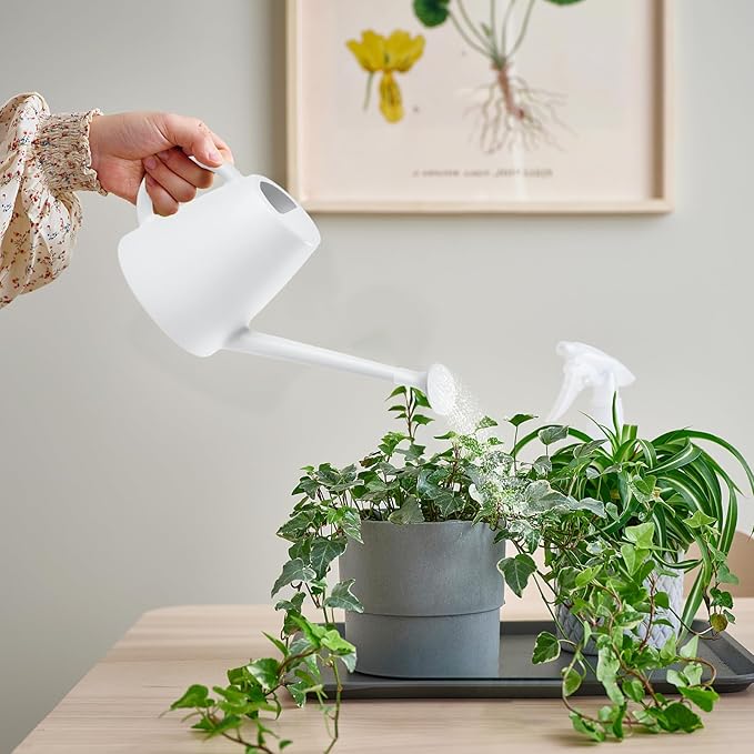 Indoor and Outdoor Watering Can - Long Spout -1/2 Gallon (64oz) - White