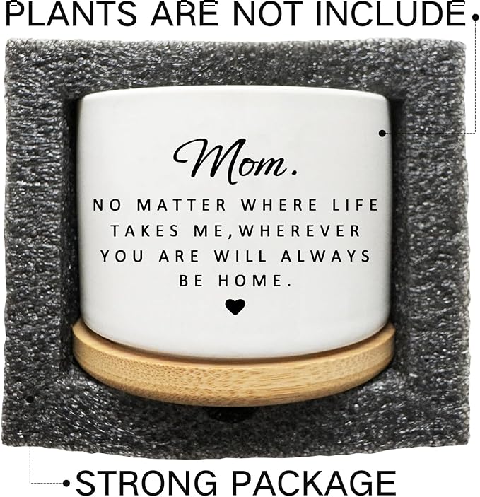 for Mom, Small Ceramic Succulent Planter Pot with Bamboo Tray, 3.5 Inch Round Flower Pot, Birthday Gifts for Mom from Daughter Son