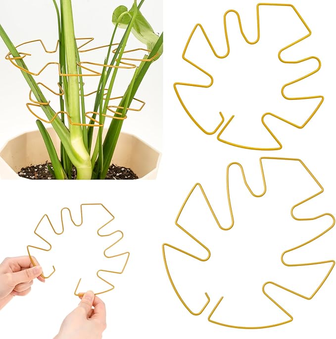 Plant Stem Support 2 Pack, Adjustable Metal Monstera Plant Support Small & Large, Unique Design Plant Supports for Indoor Plants Moss Pole Growth (Gold)
