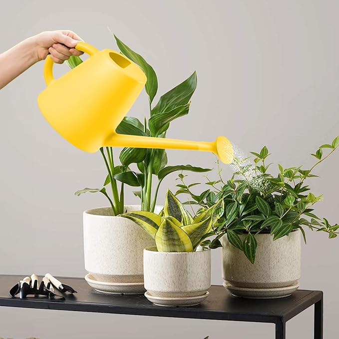 Indoor and Outdoor Watering Can - Long Spout -1/2 Gallon (64oz) - Yellow