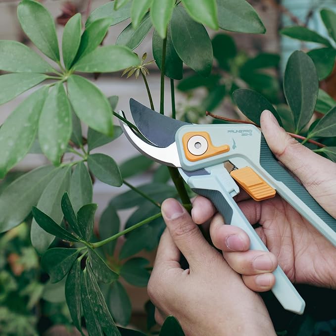 PrunePro 8" Professional Pruning Shears for Gardening 2 Pack Bypass Hand Pruner Stainless Steel Sharp Garden Scissors Plant Flower Rose Garden Clipper