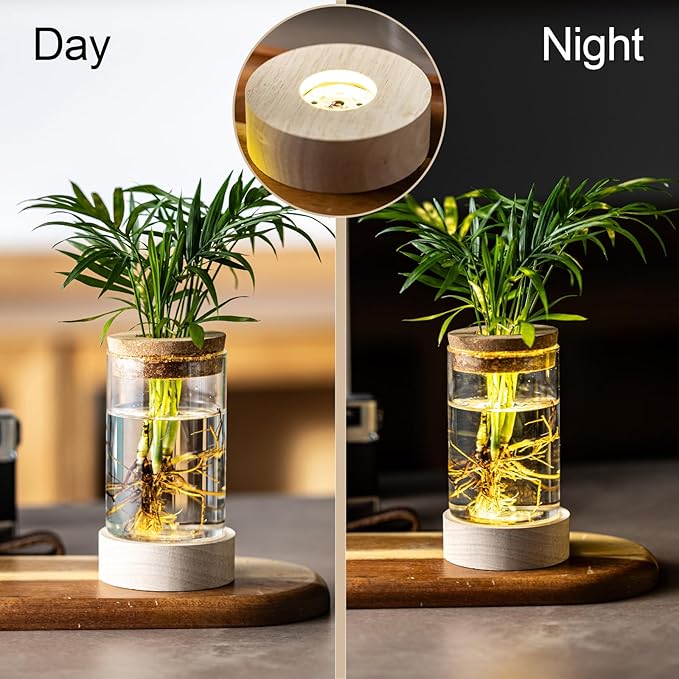 Glass Plant Propagation Stations, Propagation Vases for Plants with Ambient Light Base, Hydroponic Vase for Home & Office Windowsill Tabletop Decoration Desktop Vases for Living Room, Bedroom (4)
