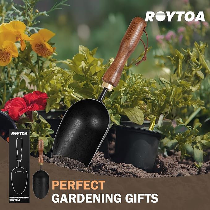 ROYTOA Soil Scoop Garden Trowel, Garden Spade with Ergonomic Walnut Handle, Small Hand Shovel for Transplanting, Digging and Cultivating