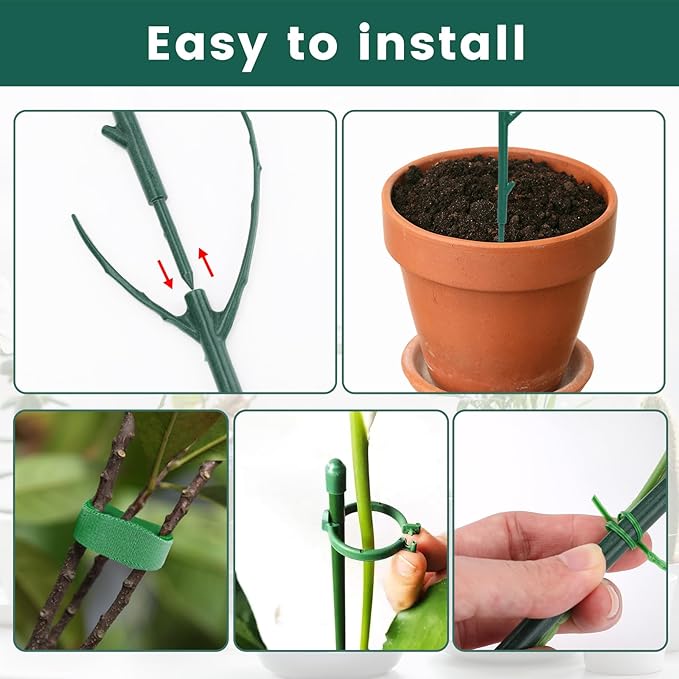 Decorative Stackable Twig, Plant Support Frame & Cage Support Rings, Plant Holder Stick Moss Pole, Twig Trellis 15 with Poles for Indoor Outdoor Potted Plants Flower Other Climbing Plants (Green(B))