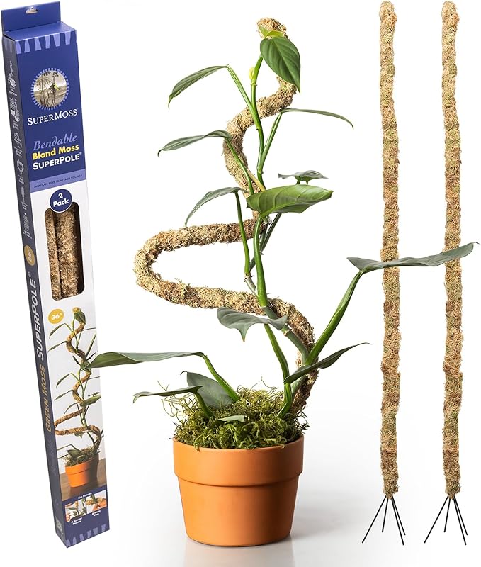SuperMoss (22064) Bendable Moss Poles, Monstera Climbing Plant Support Stakes, 36", Blonde, 2pk