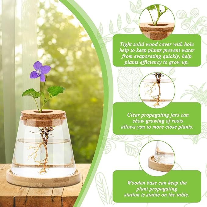 2 Pcs Plants Propagation Station, Separated Desktop Glass Planter Station Hydroponics Plant Terrarium with Wooden Tray & Lid Glass Vase Propagating Jars Gifts for Women Mom Plant Lovers