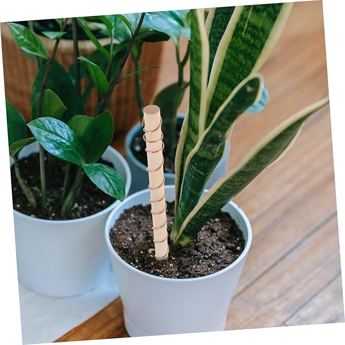 BESPORTBLE 2pcs Copper Wire Antenna Electroculture Gardening for Indoor and Outdoor Plants Lightweight Copper Coil for Signal Reception Suitable for Vegetables and Flowers