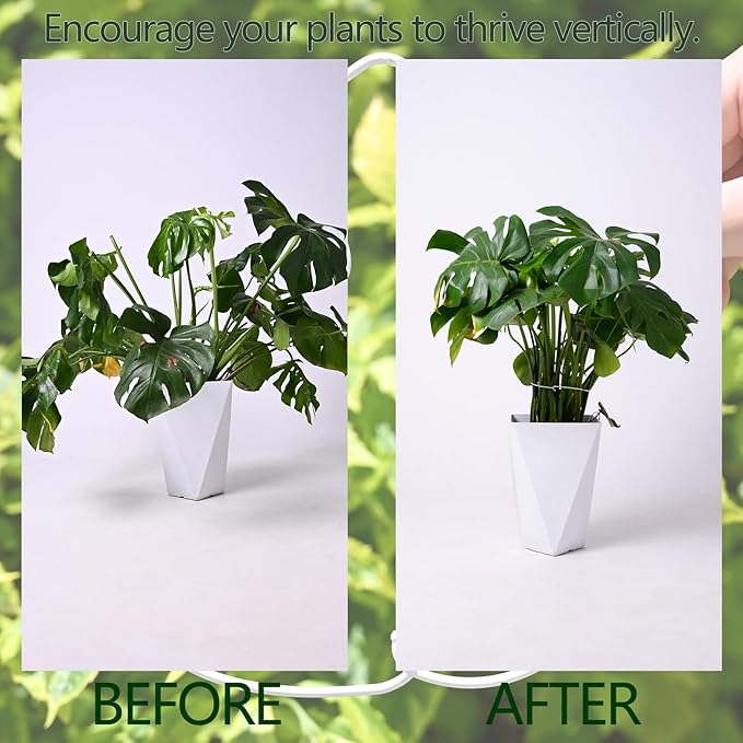 Yohsnor White Monstera Plant Stem Support - 5PCS 7.3x6.25in Durable Adjustable Garden Stake for Indoor Plants, Fishbone Cactus Holder, Innovative Leaf Clip Set, Ideal Tool for Healthy Plant Growth