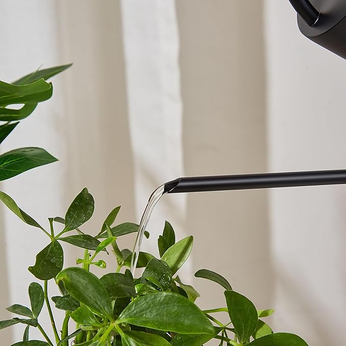 Plants Watering Can - 1500ml Large Capacity Stainless Steel Kettle for Indoor Outdoor Bonsai Plants and Garden - Long Spout Gardening Supplies (Black)