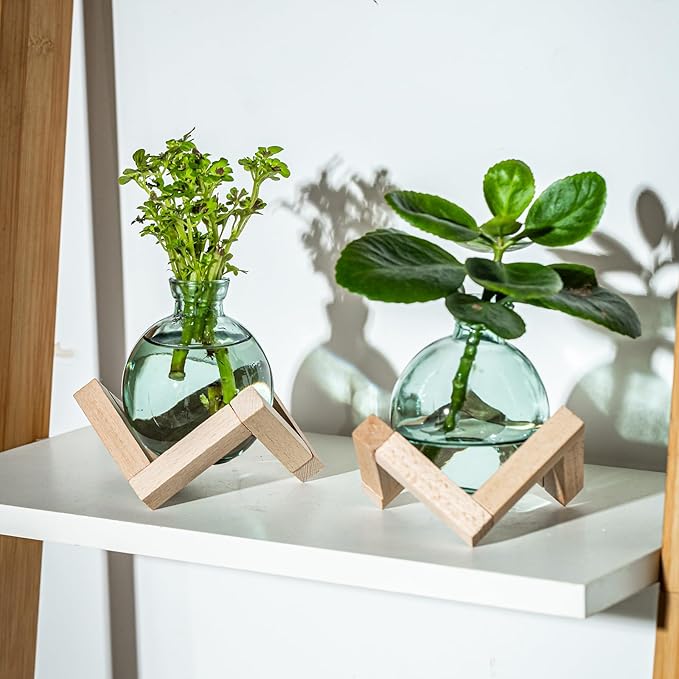 Plant Propagation Station, Plant Terrarium with Wooden Stand for Hydroponic Plant Propagation, Propagation Vases for Plants, Green Glass Bulb Vases for Home Office Decor (4)