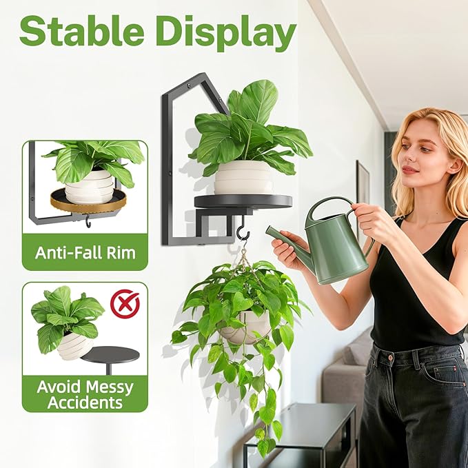 iDavosic.ly Wall Plant Picture Frame Holder Set of 3 for Indoor, Metal Stand with Hanging Hooks, Floating Flower Display Home Decor, Space Saving & Easy to Assemble (Pots/Chains/Plants Not Included)