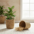 Seagrass Flower Pot, 12-Inch Rattan Planter Basket Woven Wicker Planter with Plastic Liner, Decorative Plant Pot Multipurpose Storage Bin for Home