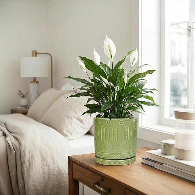 Eightpot Ceramic Pots for Plants, 8 Inch Plant Pot with Drainage Hole and Tray, Round Planters for Indoor Plants, Modern Flower Pot, Decorative Planter, Living Room Decor, Gardening Gifts, Green