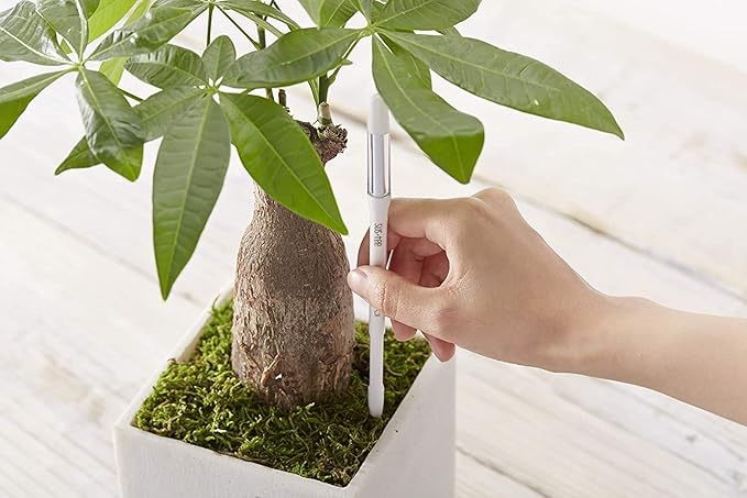 Sustee Aquameter, Set of 5, Plant Soil Moisture Sensor (White, Large)