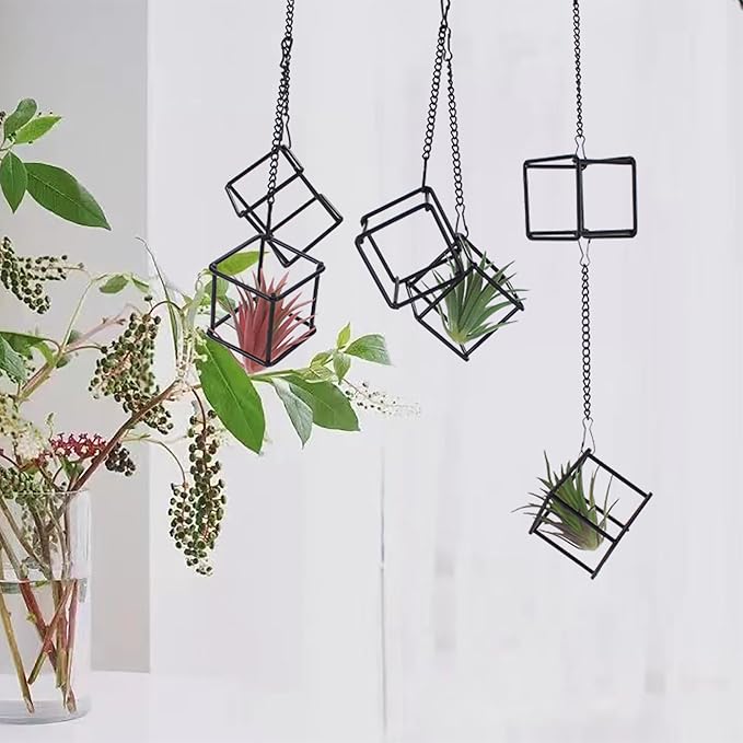 6 Pack Metal Hanging Air Plant Holders - Geometric Black Cube Tillandsia Hangers with Long Chains, Wall or Ceiling Mount for Small Air Plants, Home & Office Boho Decor (Individual or Combined Use)